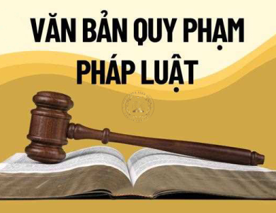 Văn Bản Pháp Luật 